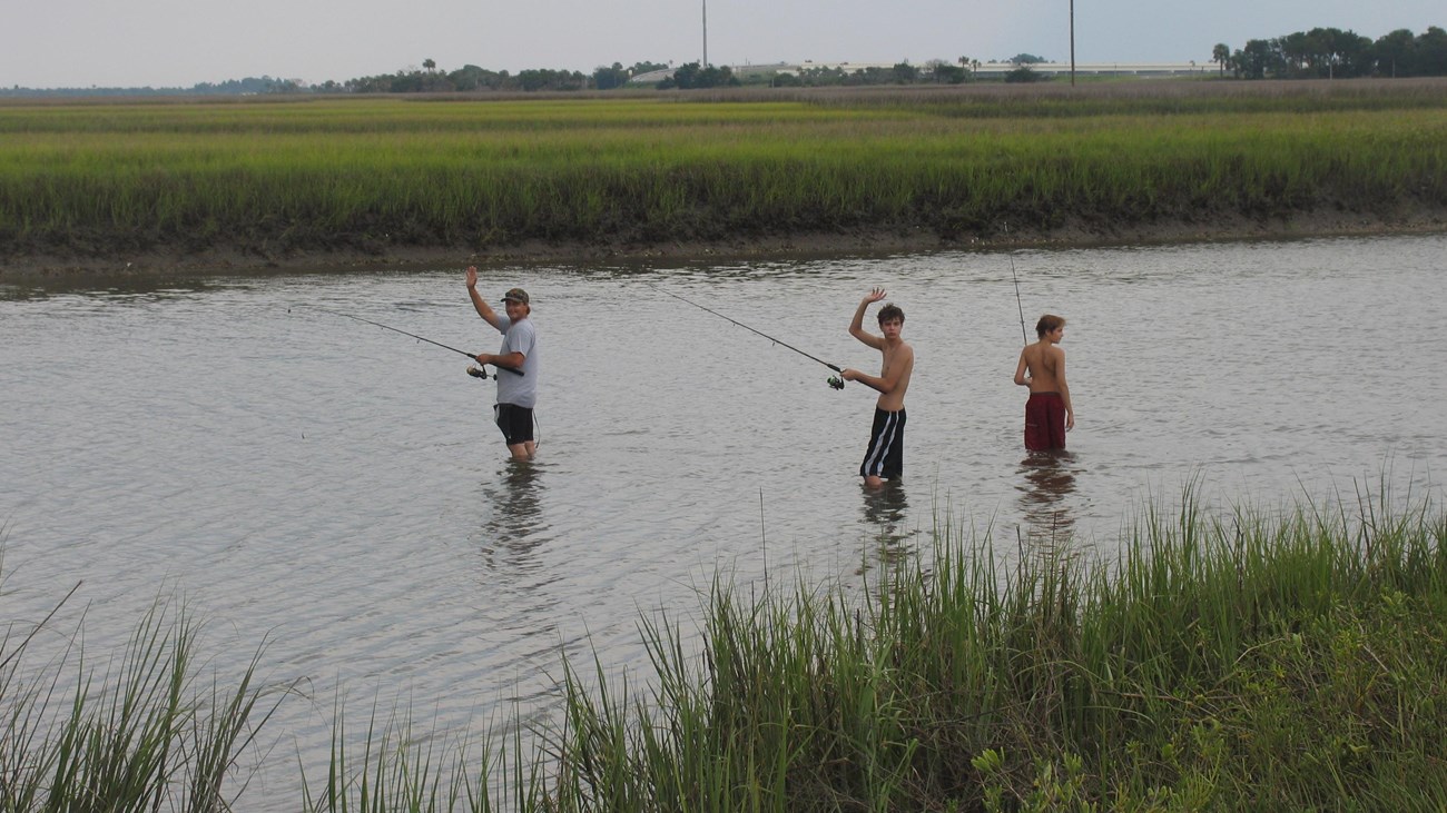 three anglers stand in marsh with poles waving