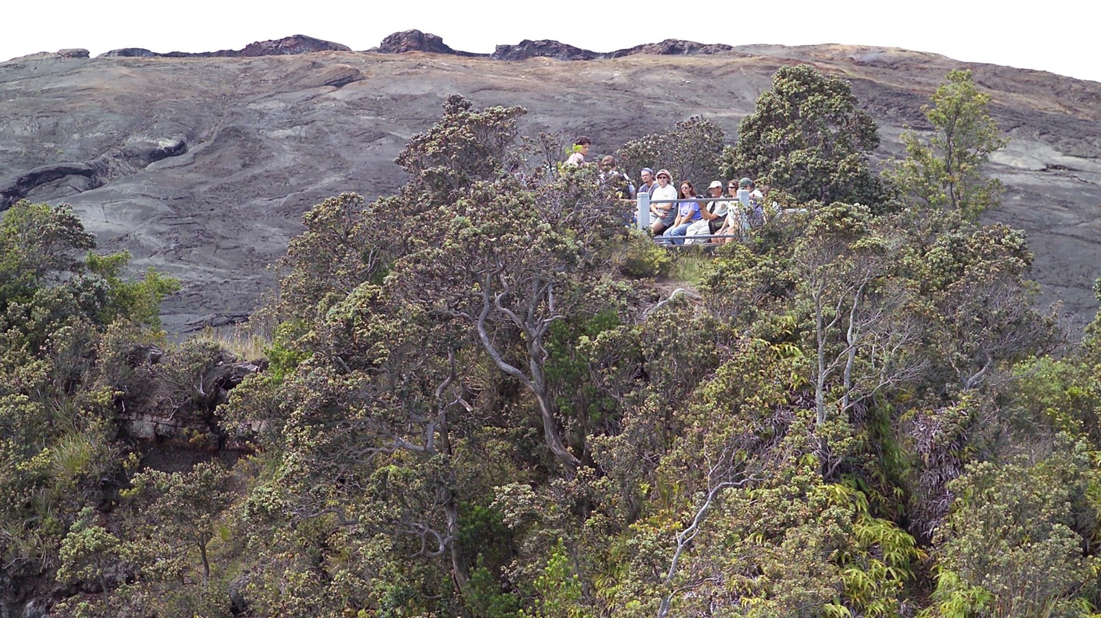 Visitors on an observation deck above trees and looking toward a lava shield
