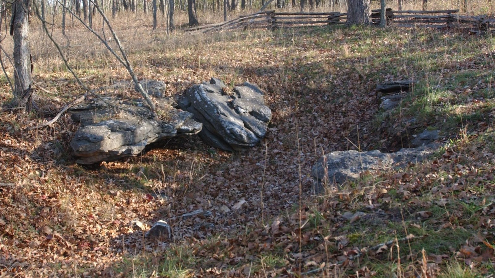 A shallow depression about 12 feet by 10 feet in dimension is ringed by rough rocks and vegetation