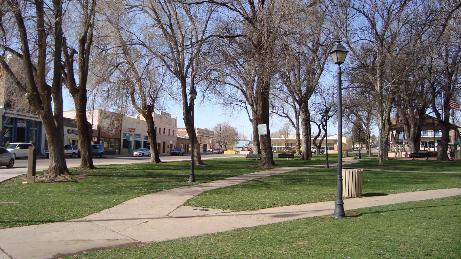 A path winds through a grassy park with tall trees.