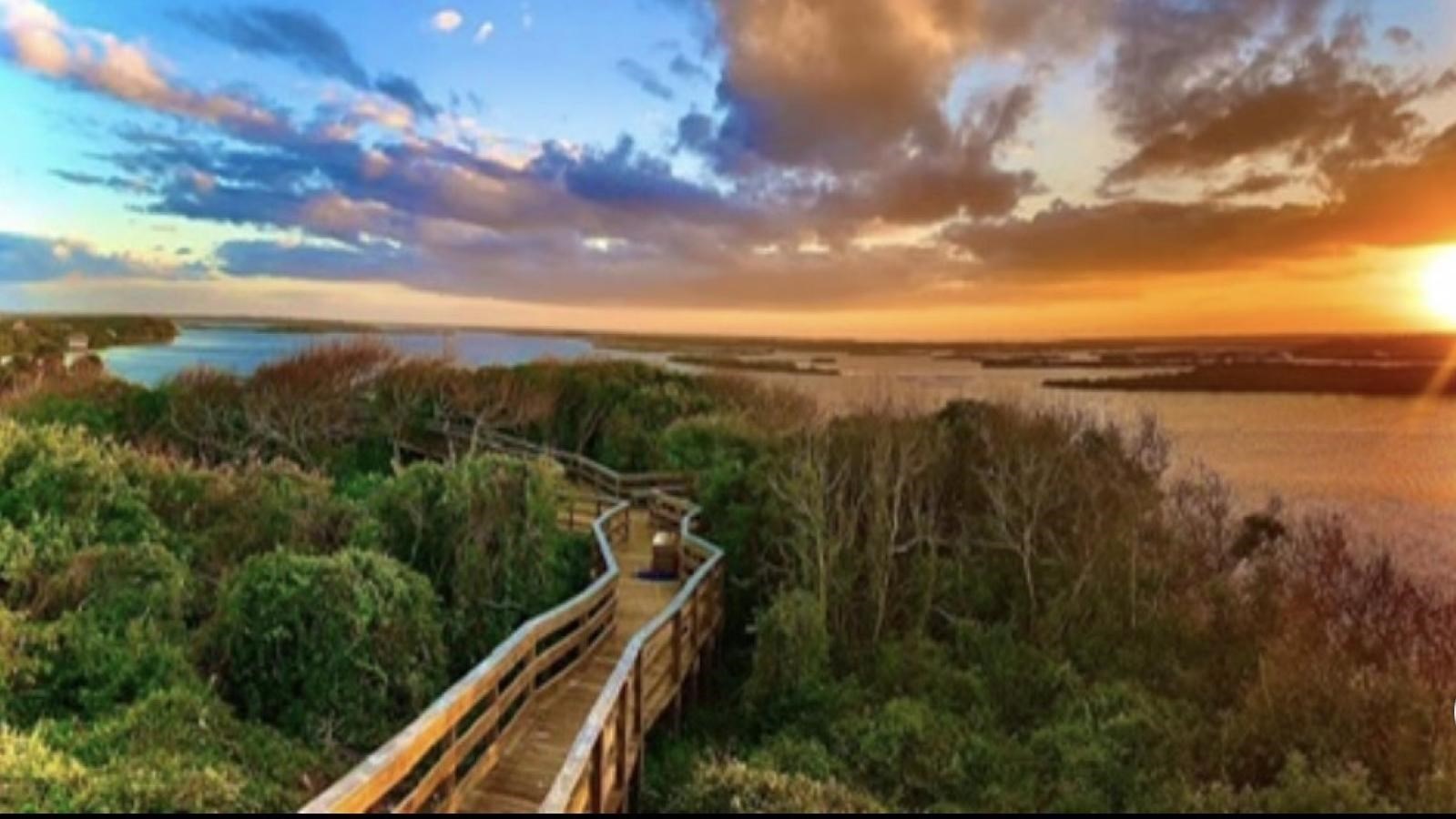 The top of Turtle Mound at sunset.