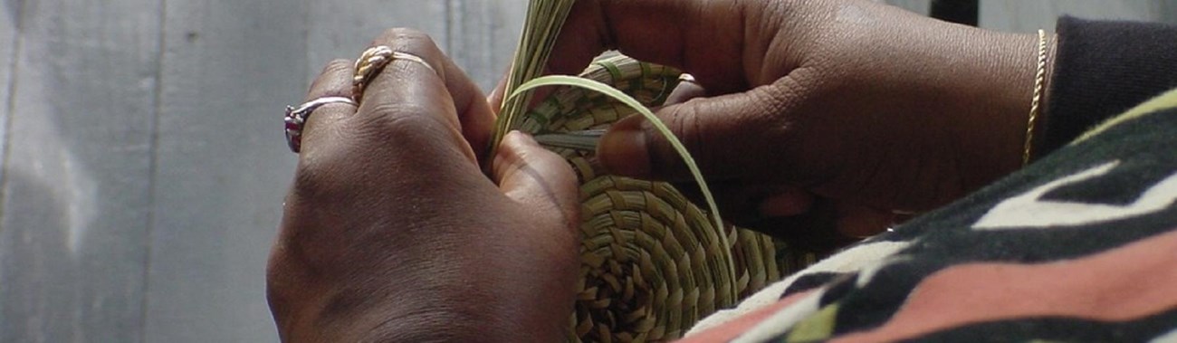 A close up of a someone\'s hands weaving a basket out of sweetgrass. 