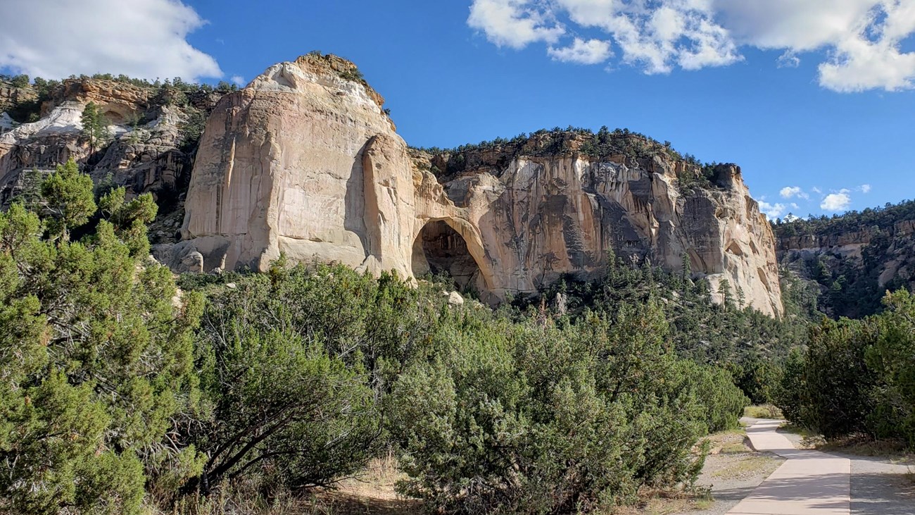 A sidwalk leads to a sandstone cliff with a prominent arch feature within the sandstone.