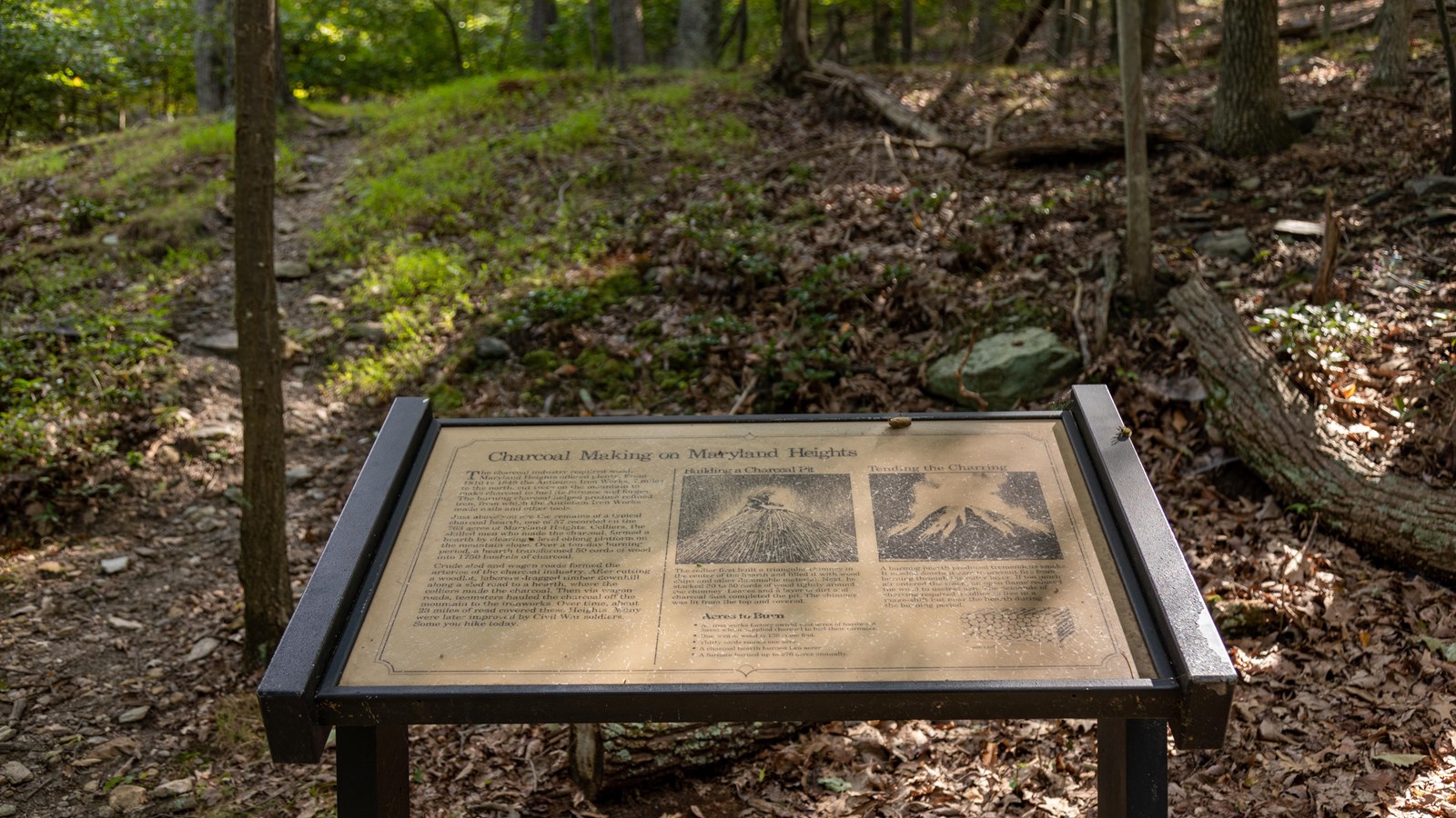 Stone remnants of a charcoal hearth lie beyond a sign discussing the 19th century charcoal industry.
