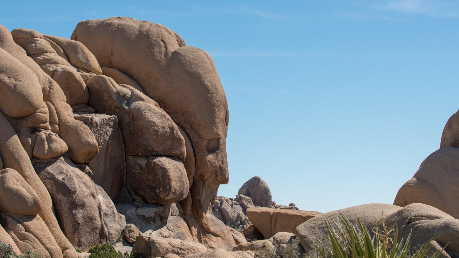 A large boulder formation that looks like the side profile of a face.