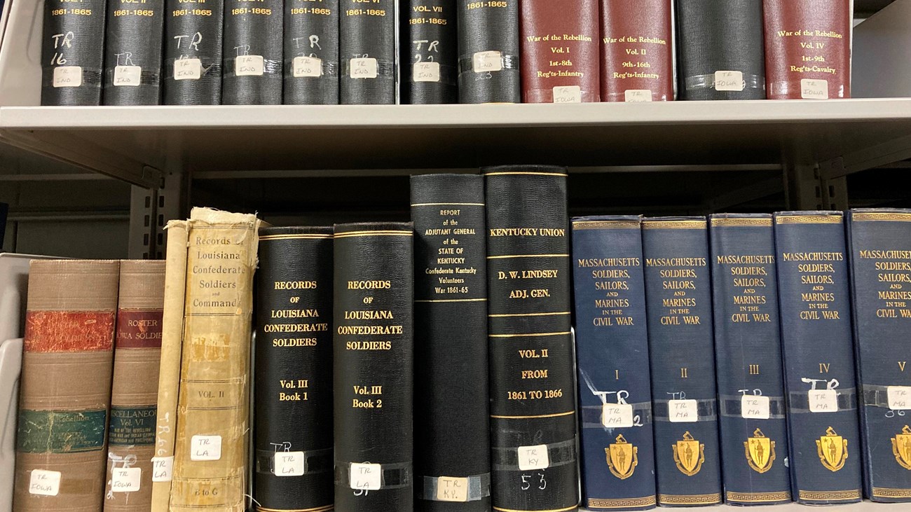 Two shelves of thick research books