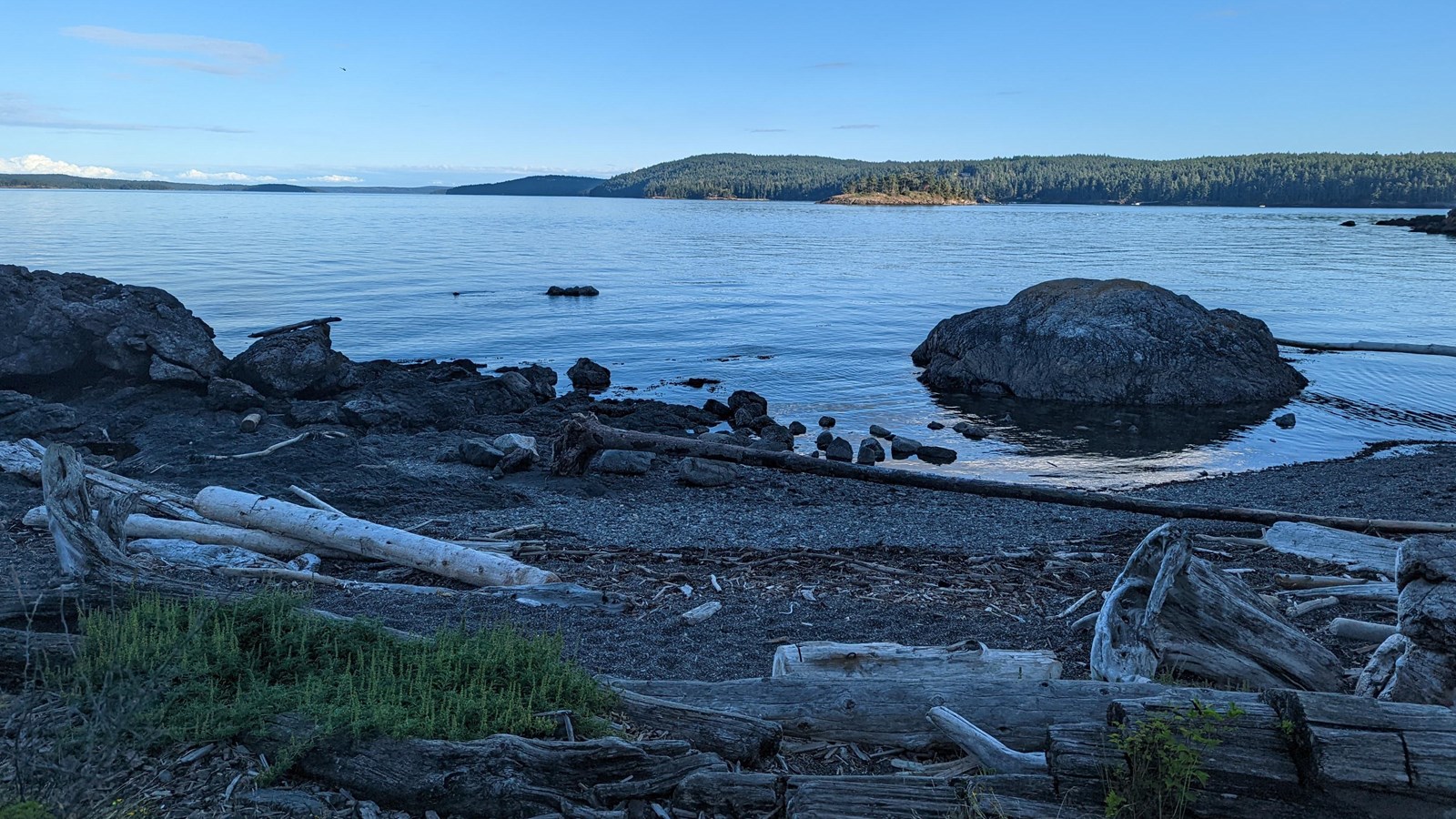 Color photograph of a rocky seaside beach with driftwood in the foreground and islands beyond