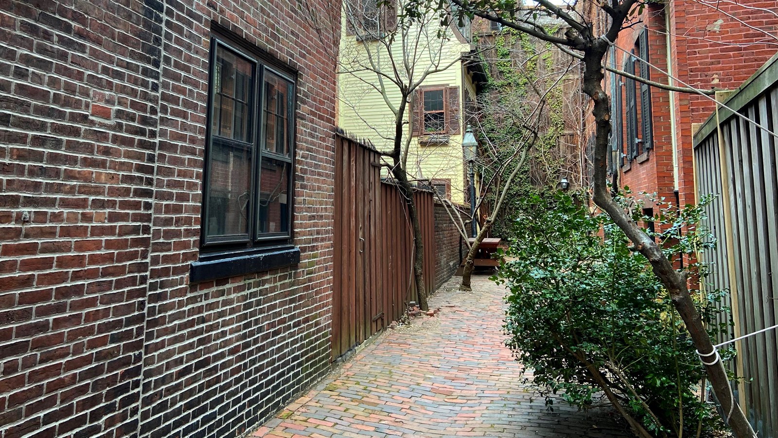 Brick-paved alley between residential brick buildings. Plants are one the right.