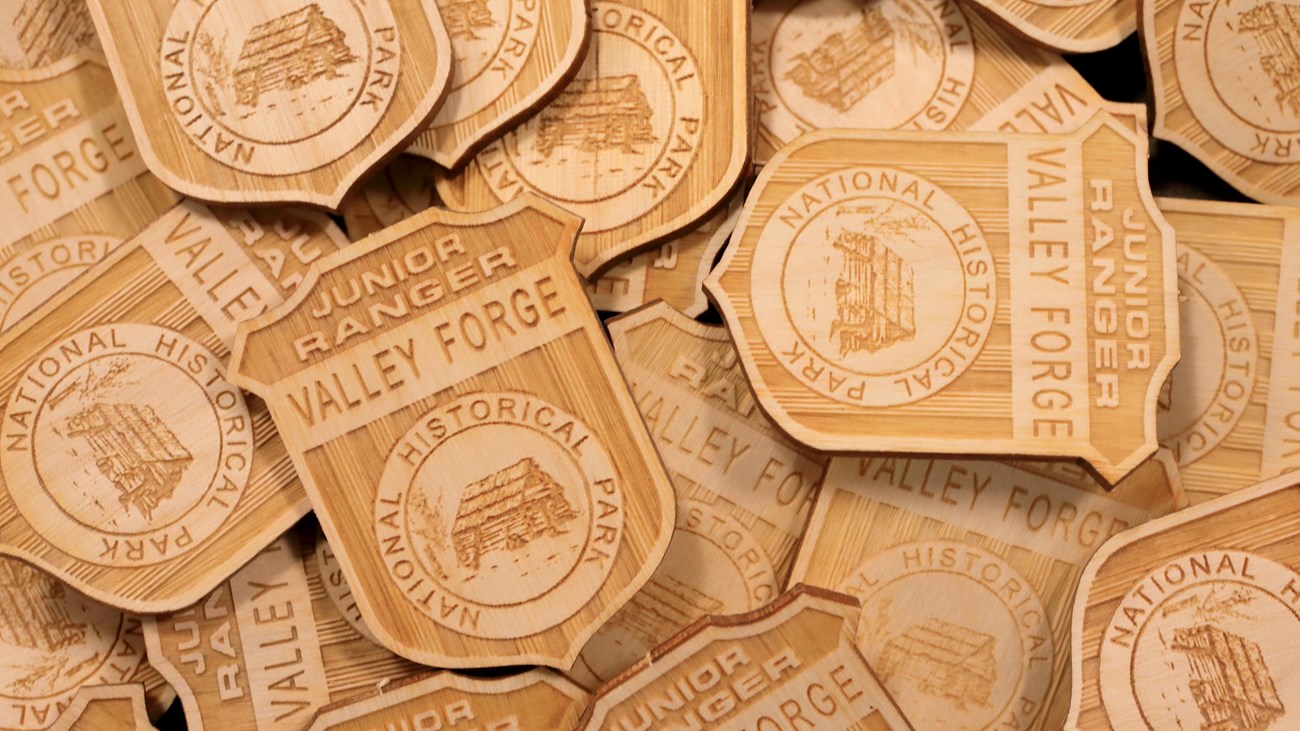 many wooden junior ranger badges in a pile