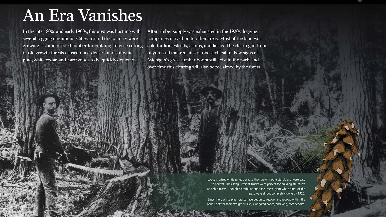 A wayside panel describing the history of the lumber industry in the Upper Peninsula.