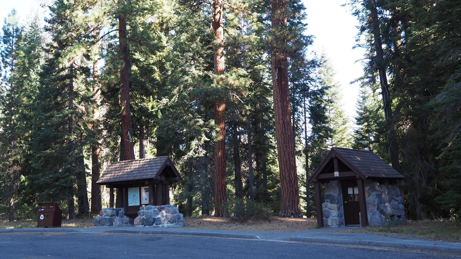 An accessible comfort station and information kiosk surrounded by Ponderosa Pines