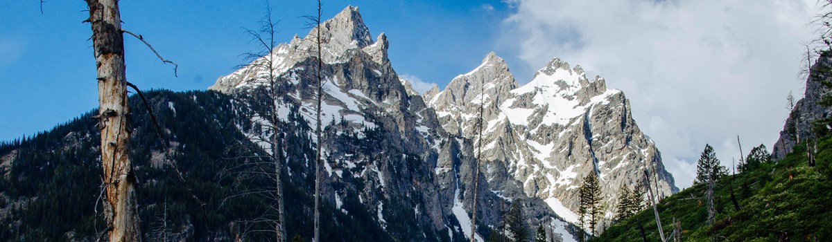 A hikers walks along a path towards mountains.