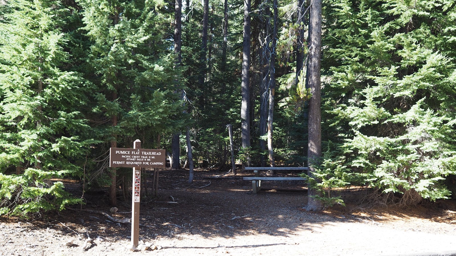A brown, wood trailhead sign with white lettering, and a picnic table in a lodgepole forest