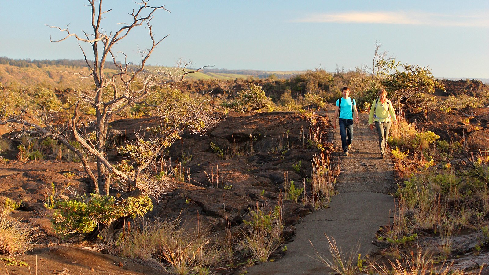 Two hikers along a path in a desert-like environment