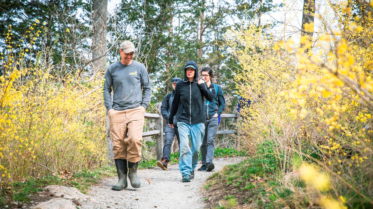 A group walks along a gravel path in the middle of a forest with blooming bushes around. 