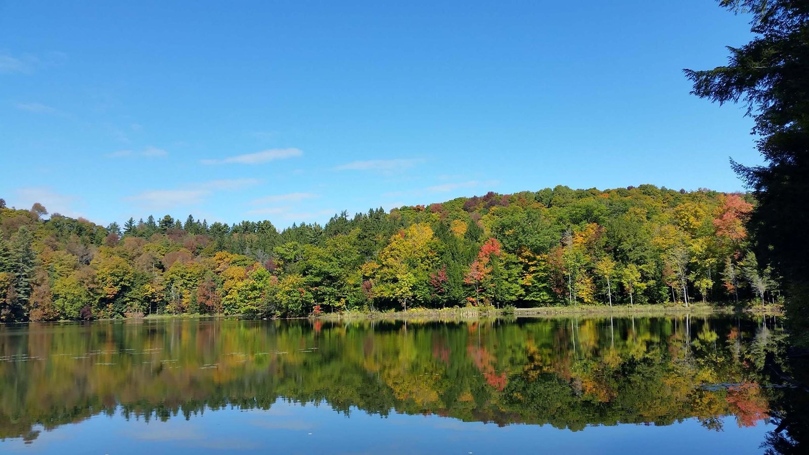 Pogue view with tree showing early fall