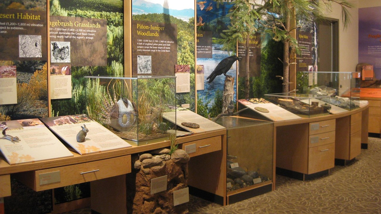 lifezone exhibits with model raven site on top