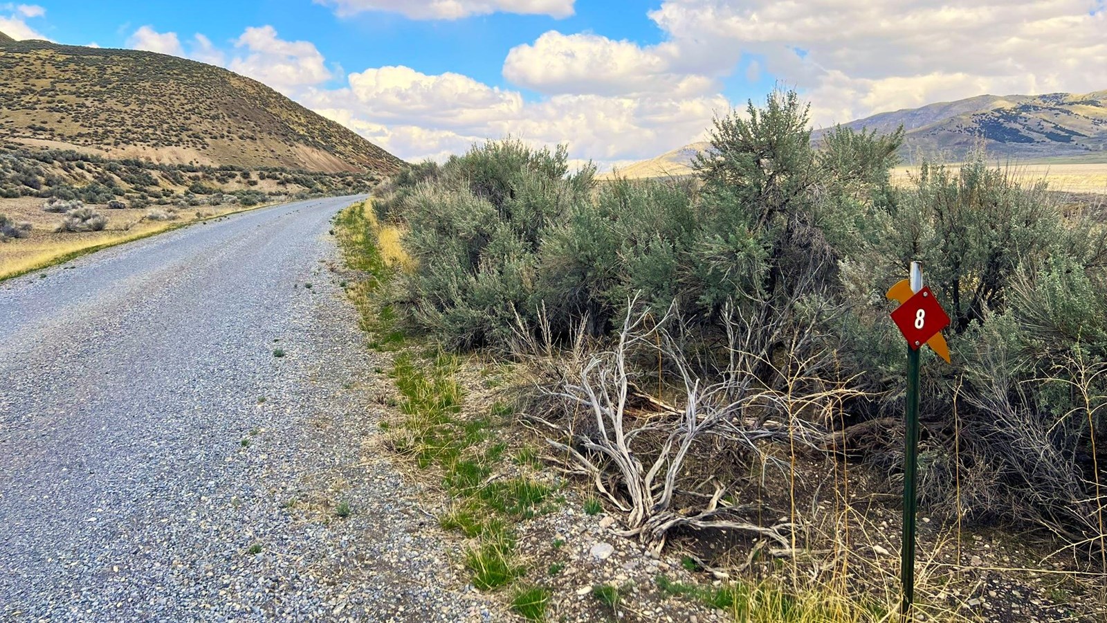 Gravel Road along a landscape of sagebrush of yellow and green. Vast views of hills and Blue sky