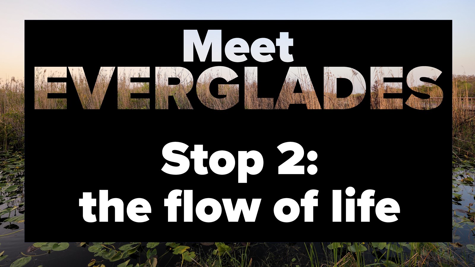 A graphic with the text