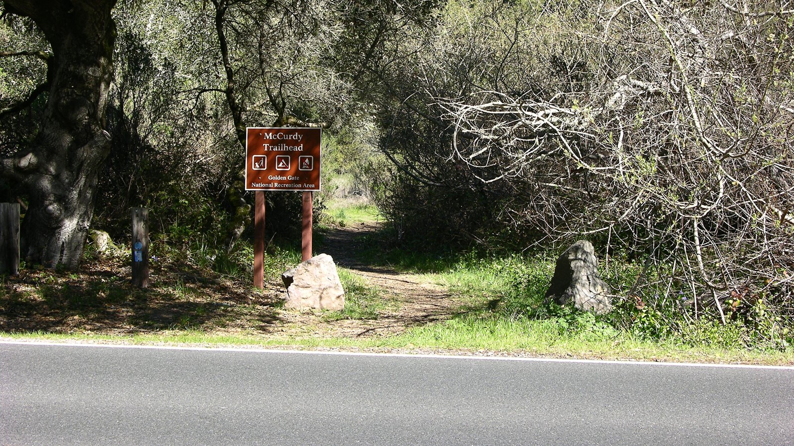 A medium-sized brown trailhead sign stands along the shoulder of a paved road under some trees.