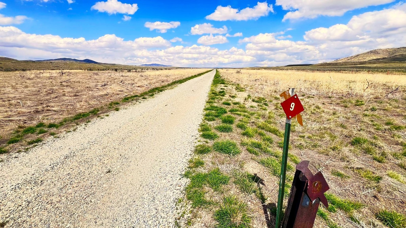 Gravel road among yellow and green sagebrush, views of vast valley mountains in distance
