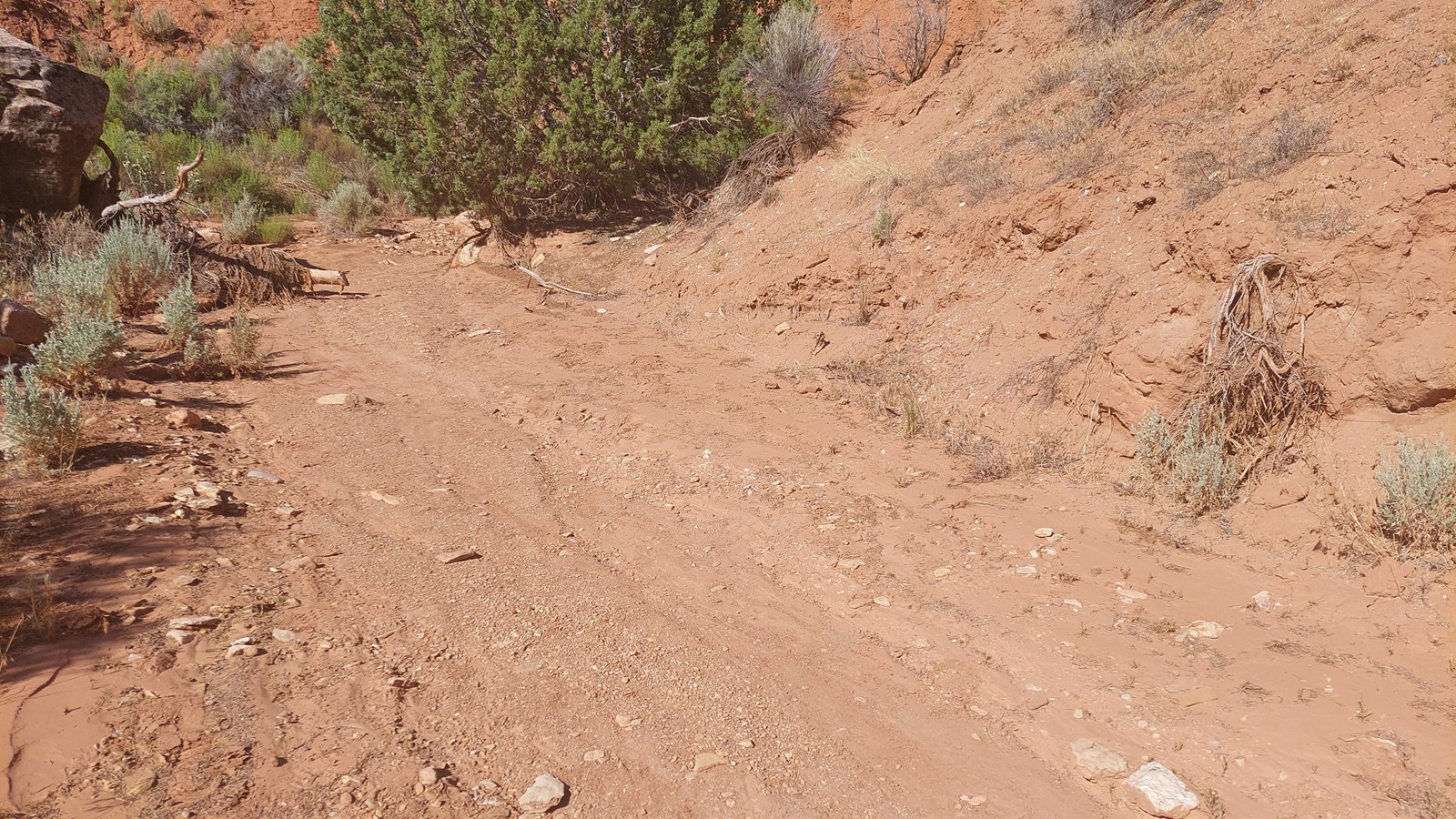 A dried up streambed with channels moving through the sandy soil.