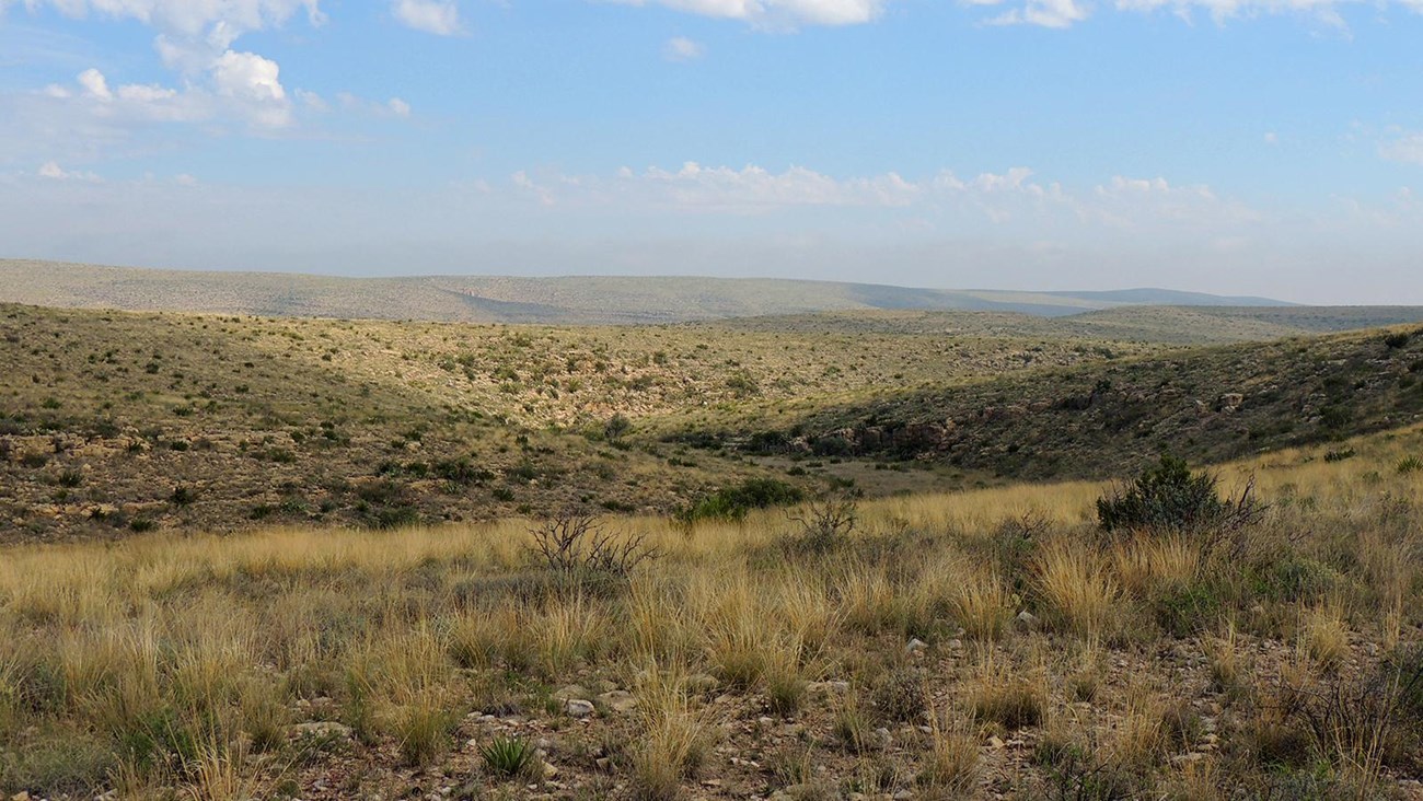 Photo of the desert landscape along the Guadalupe Ridge Trail.