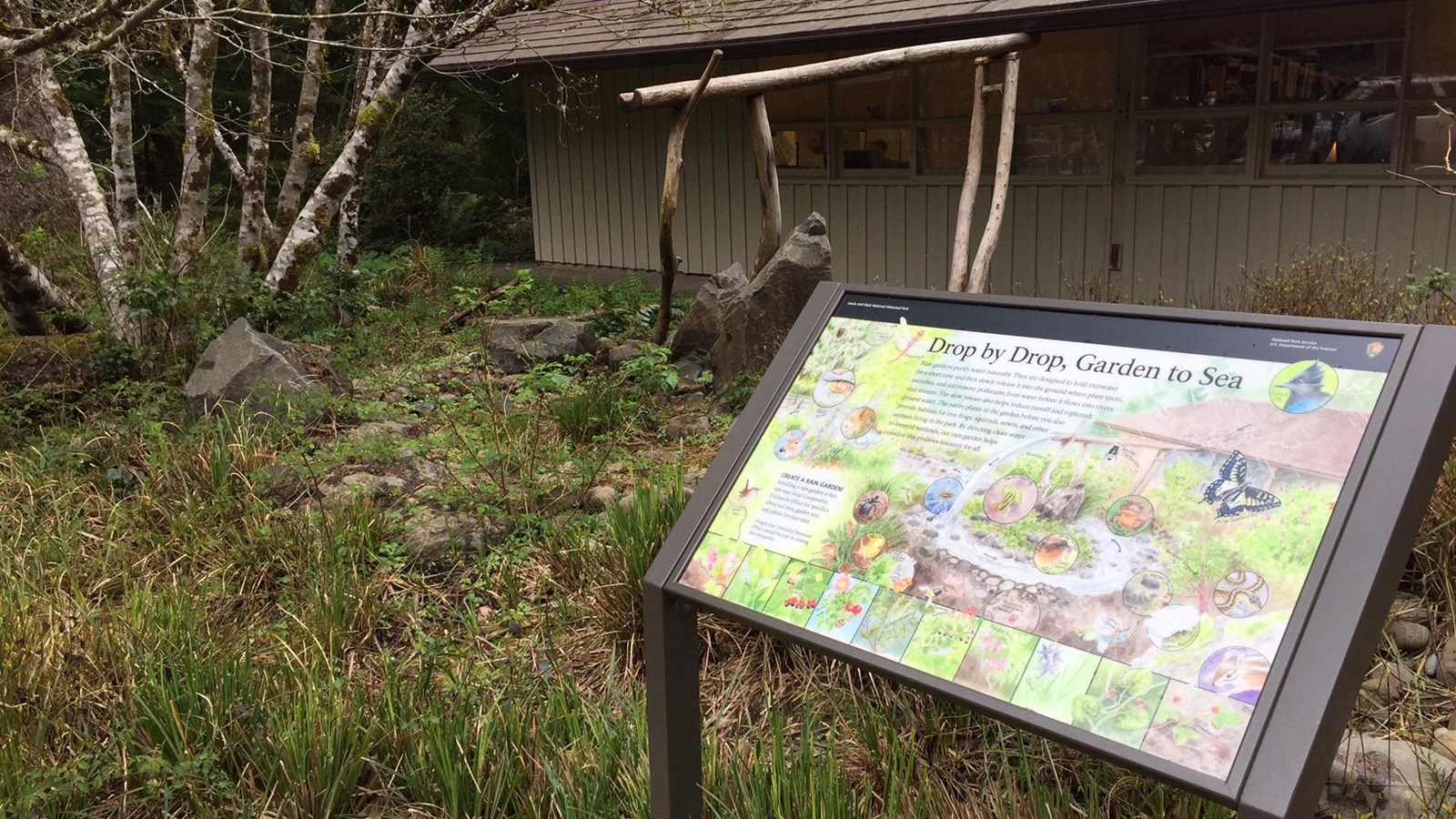 A large raingarden directly against the Visitor Center, a sign explains its purpose and importance.