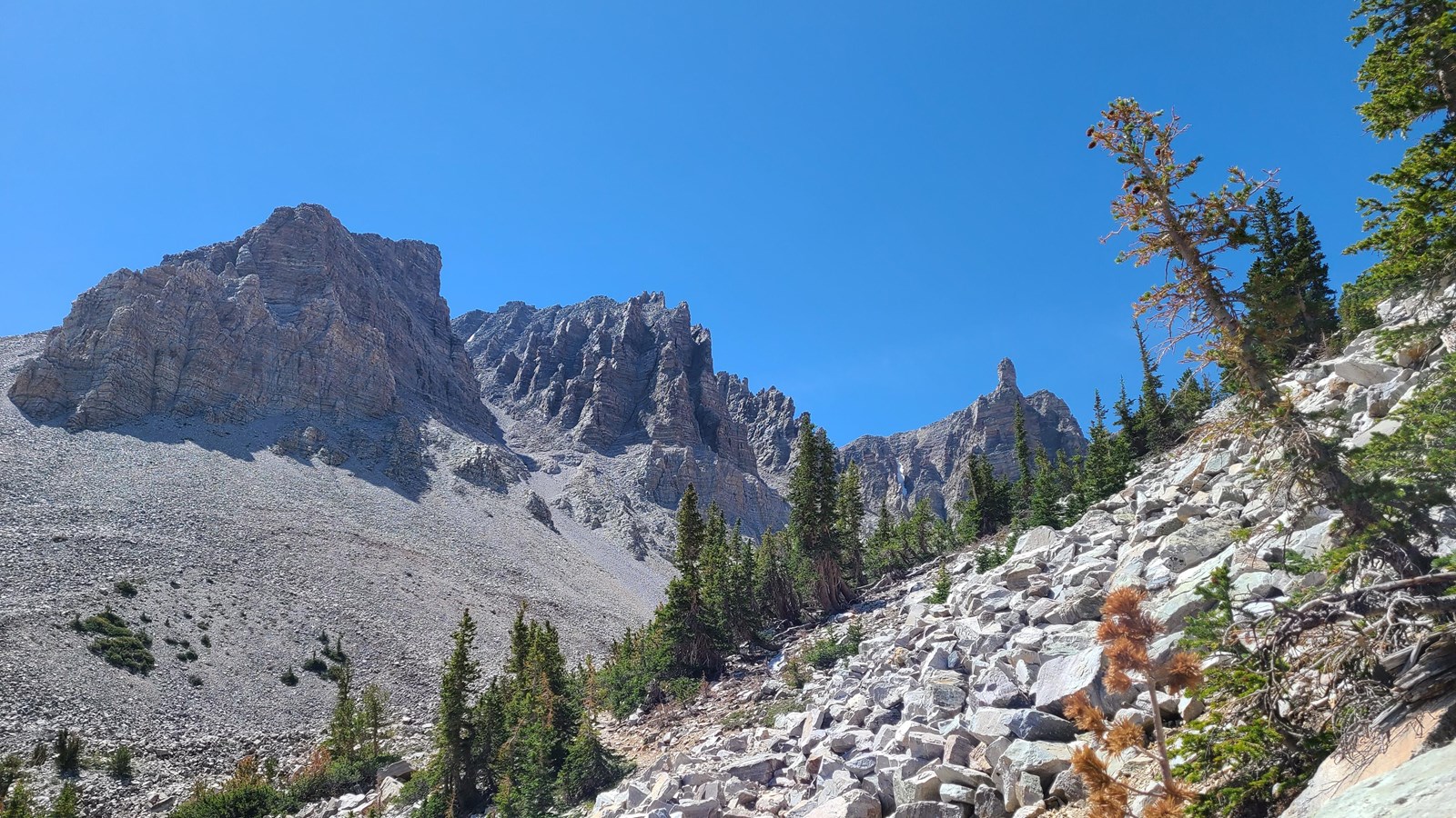 Doso Doyabi\'s jagged peaks in the background with loose rock and occasional trees in the foreground