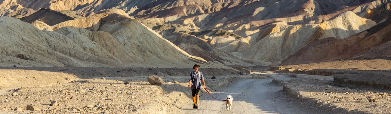 A man walks a dog on a leash down a dirt road in a desert setting.