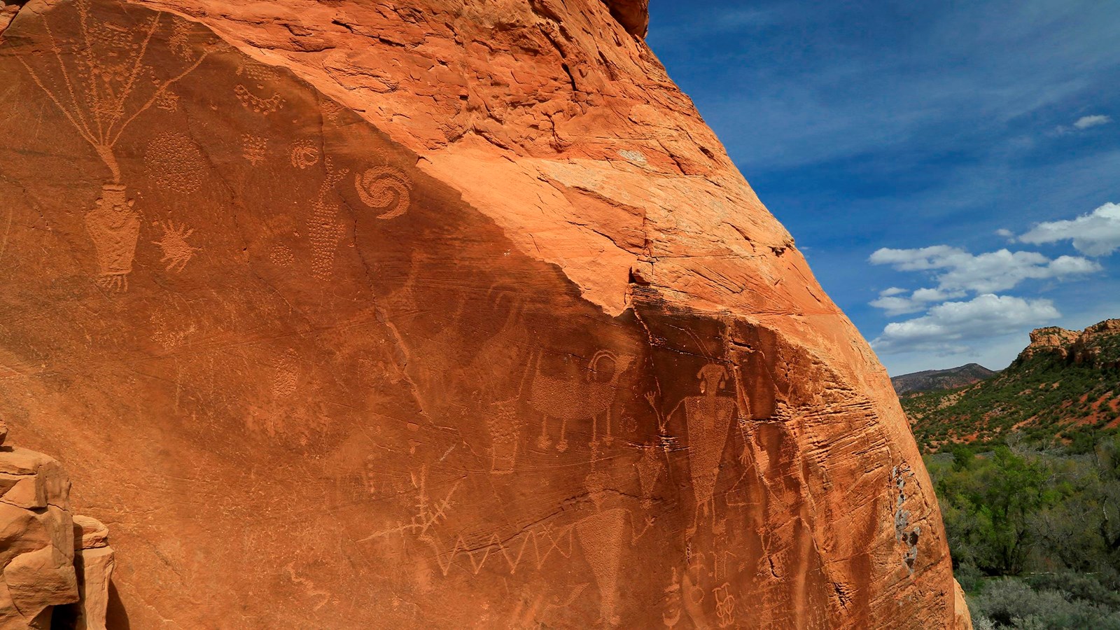 A large rock face covered with the etchings featuring shapes of animals, humanoids and other designs