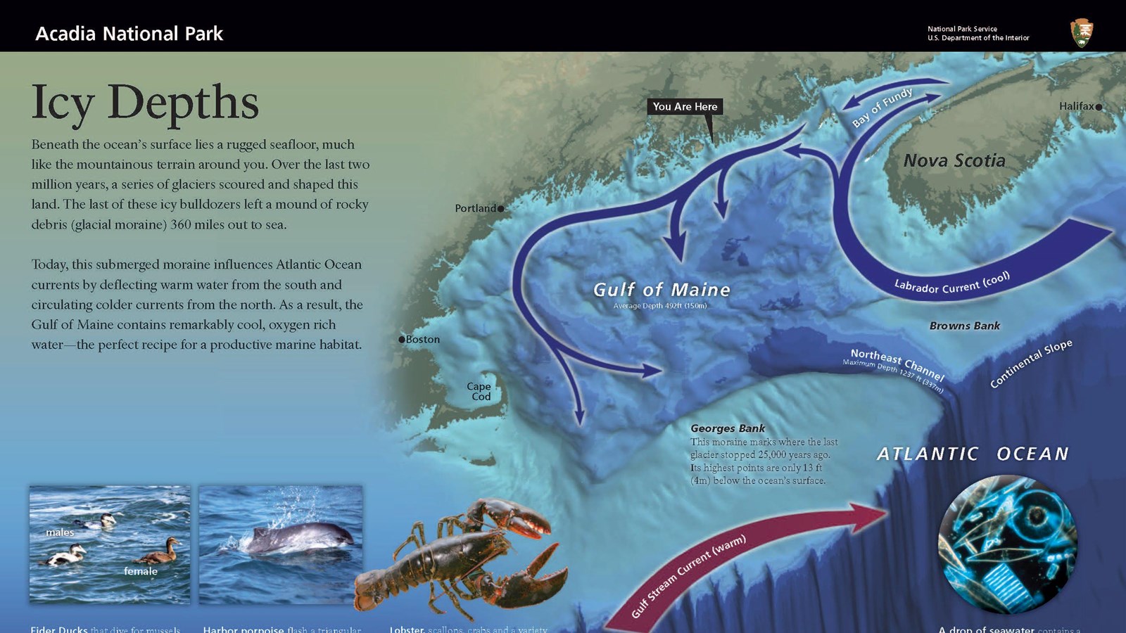 Image of an interpretive wayside entitled 