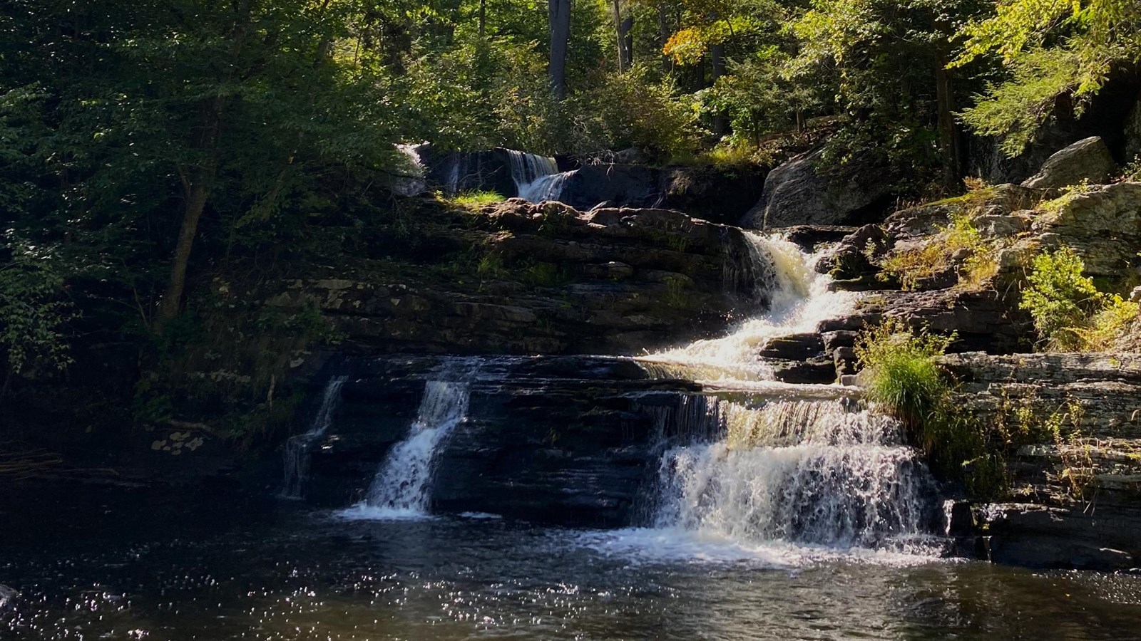 A small tiered waterfall surrounded by green foliage.