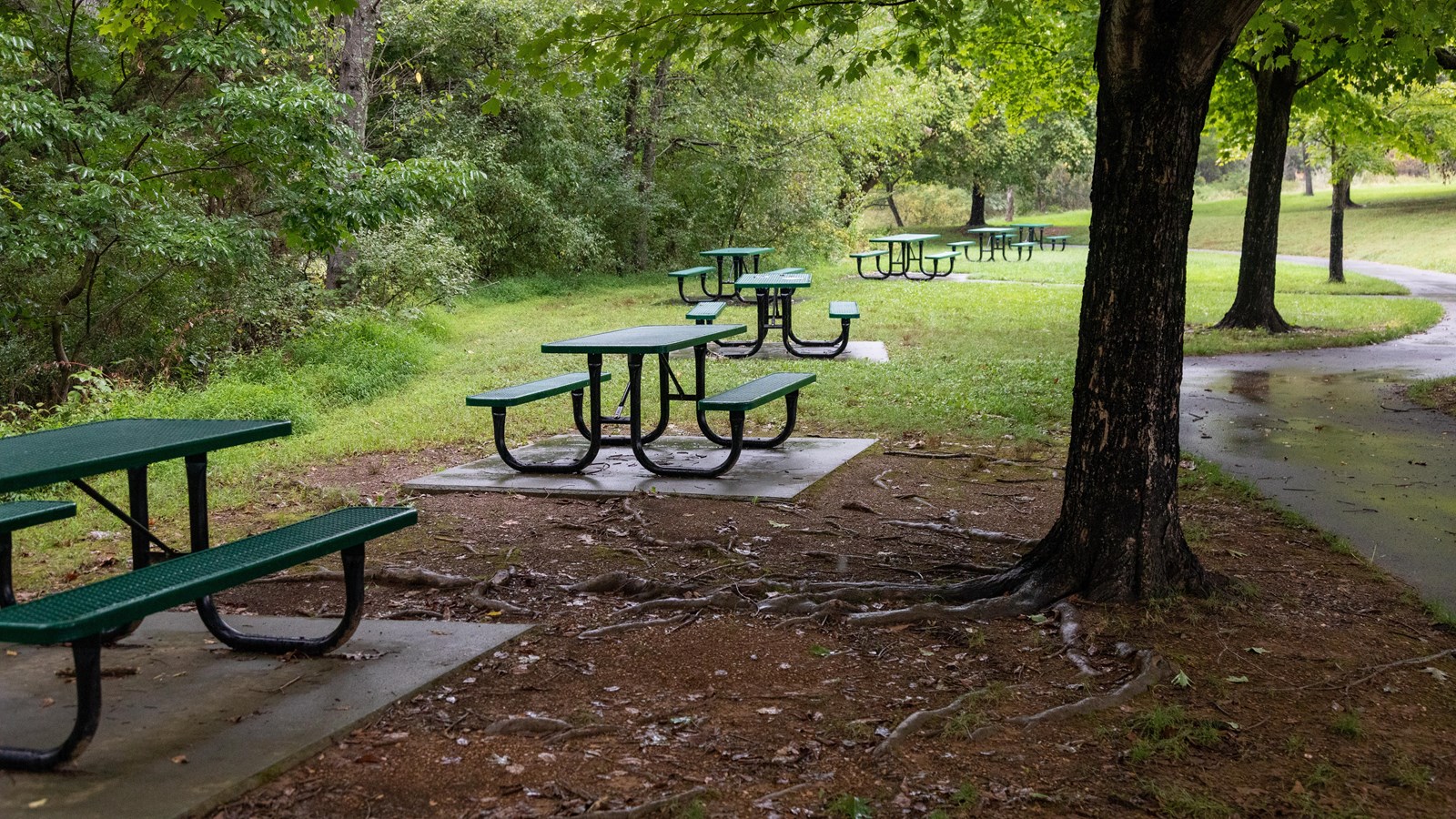 Six picnic tables under the shade of trees.
