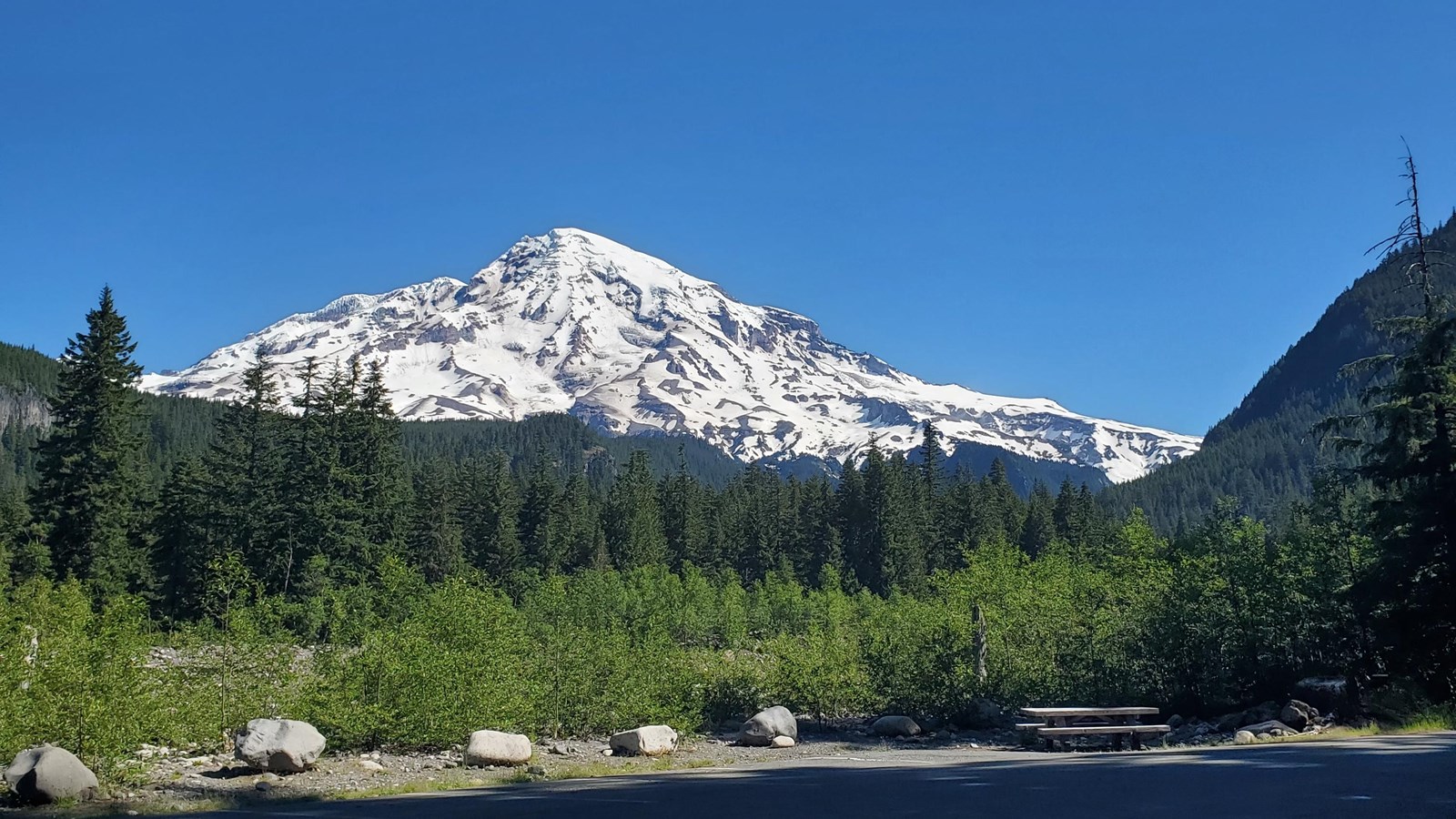 Mount Rainier in the distance with alder trees, large boulders, and a picnic table in the foreground