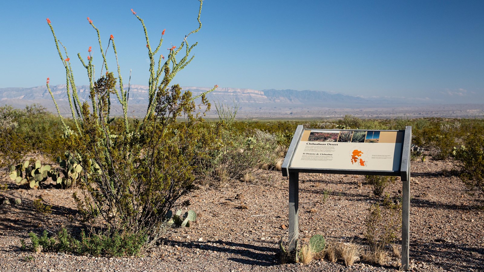 A metal exhibit sign sits on a rocky flat amongst desert plants with mountains in the background.