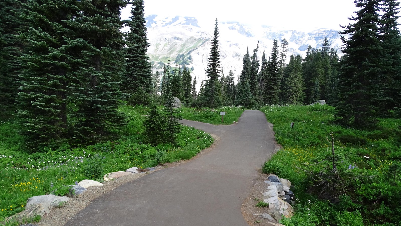 Wide paved trail bordered by wildflowers with mountains in the distance.