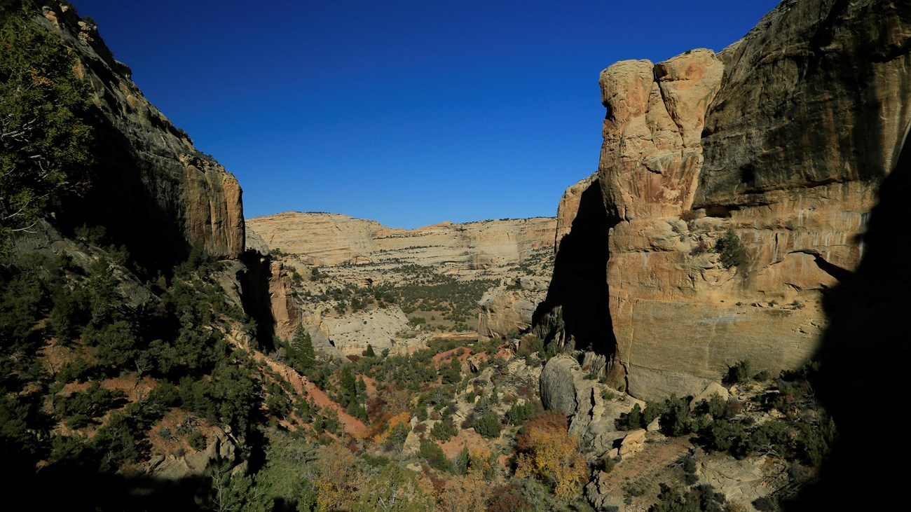 Tall yellow colored cliffs rise on both sides of a narrow valley.