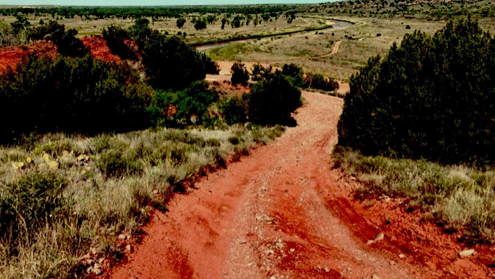 Rosita Flats Off-Roading Area road cutting through the Texas Plains. 