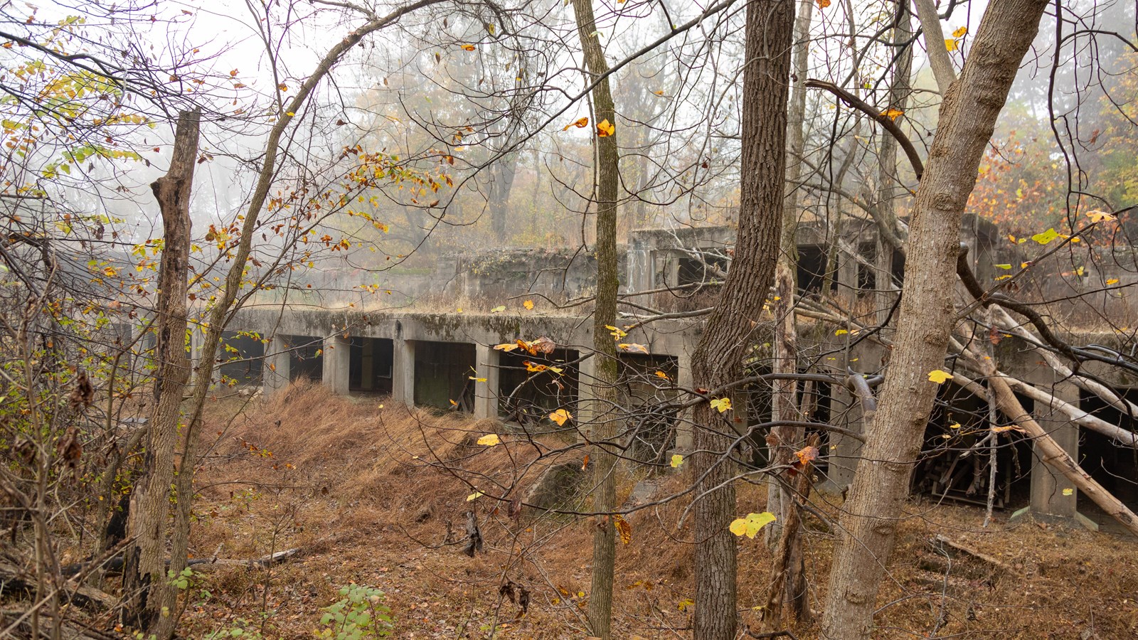 A concrete, two floor, open military battery in the forest 