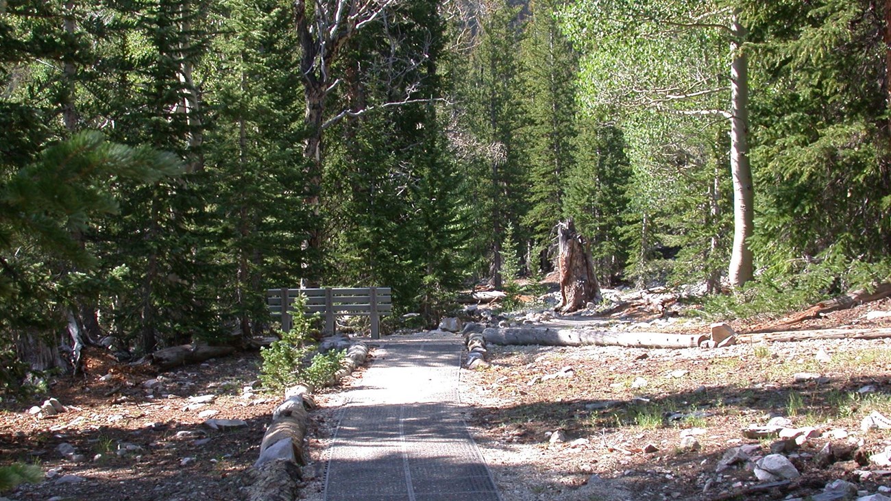 A wheelchair accessible with green trees around