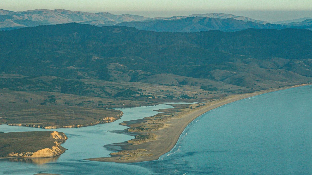 Estero de Limantour