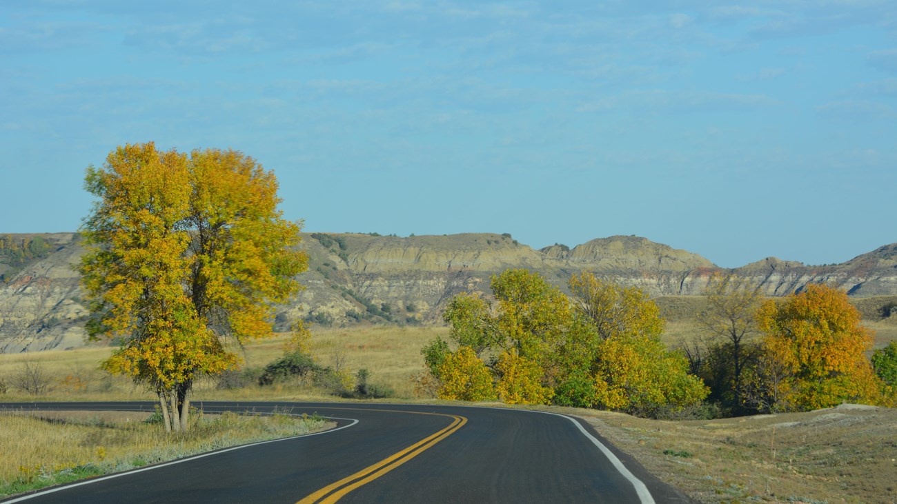 A road curves to the left, with yellowing trees on both sides. Large buttes are in the distance.