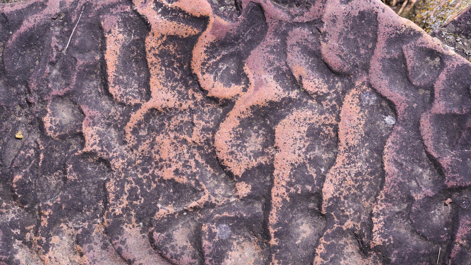 Wavy patterns and crests on a piece of stone