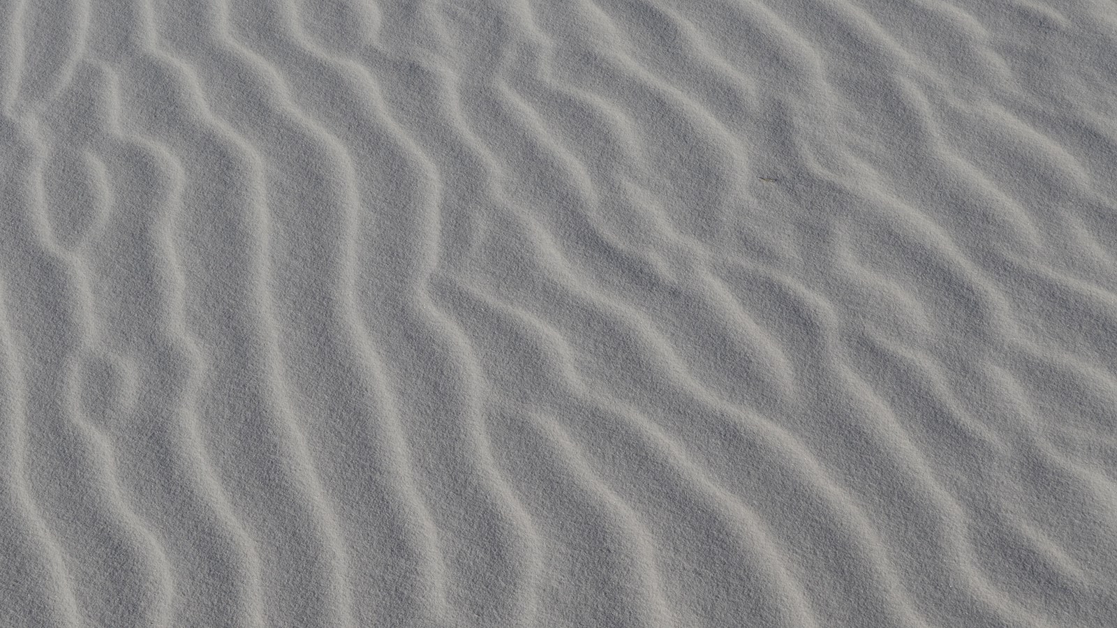 Small white ripples in sand extend vertically across the image.