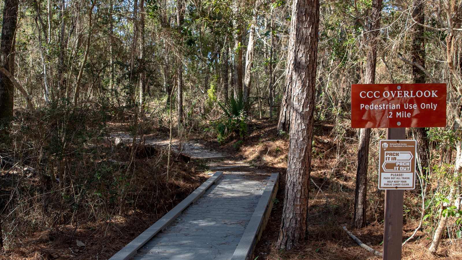 A trailhead sign stands in front of a forest and wooden boardwalk.