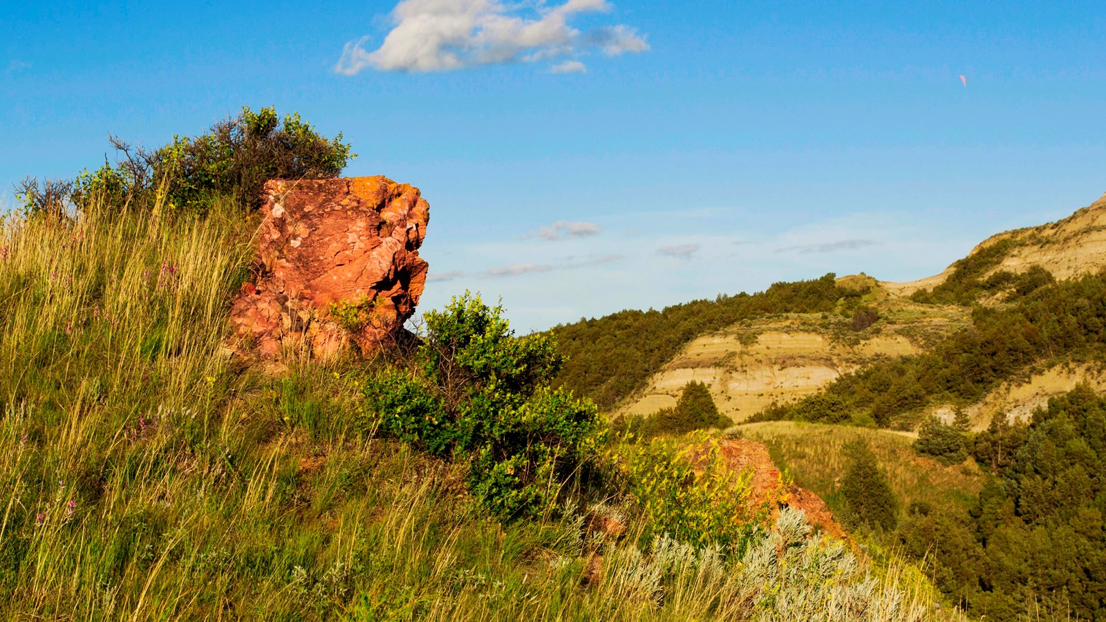 A large outcropping of red rock from a grassy hillside. Tree covered buttes are in the background.