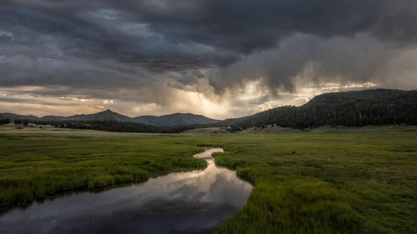 A small stream meandering through a montane grassland at sunset.