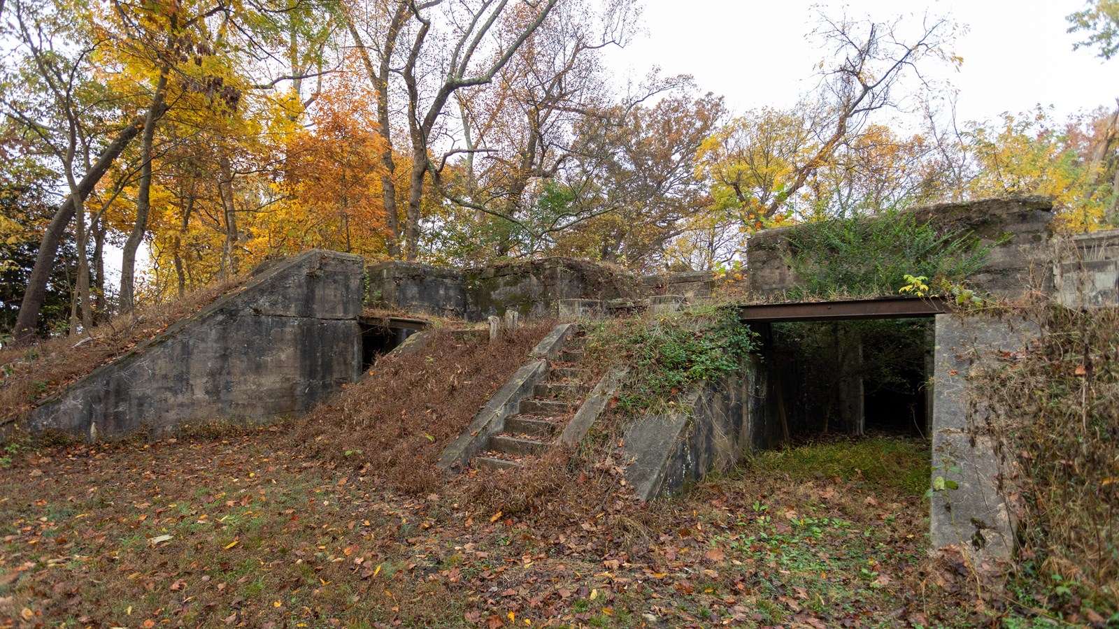 a small concrete battery surrounded by trees 