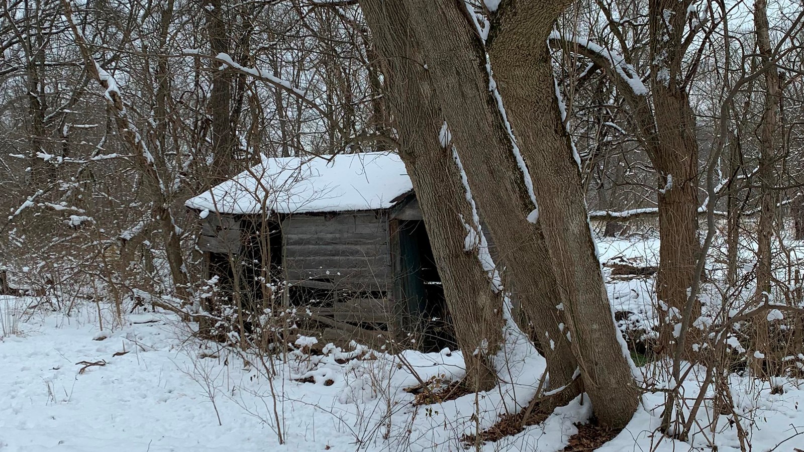 A small wood building surrounded by trees and covered in snow.